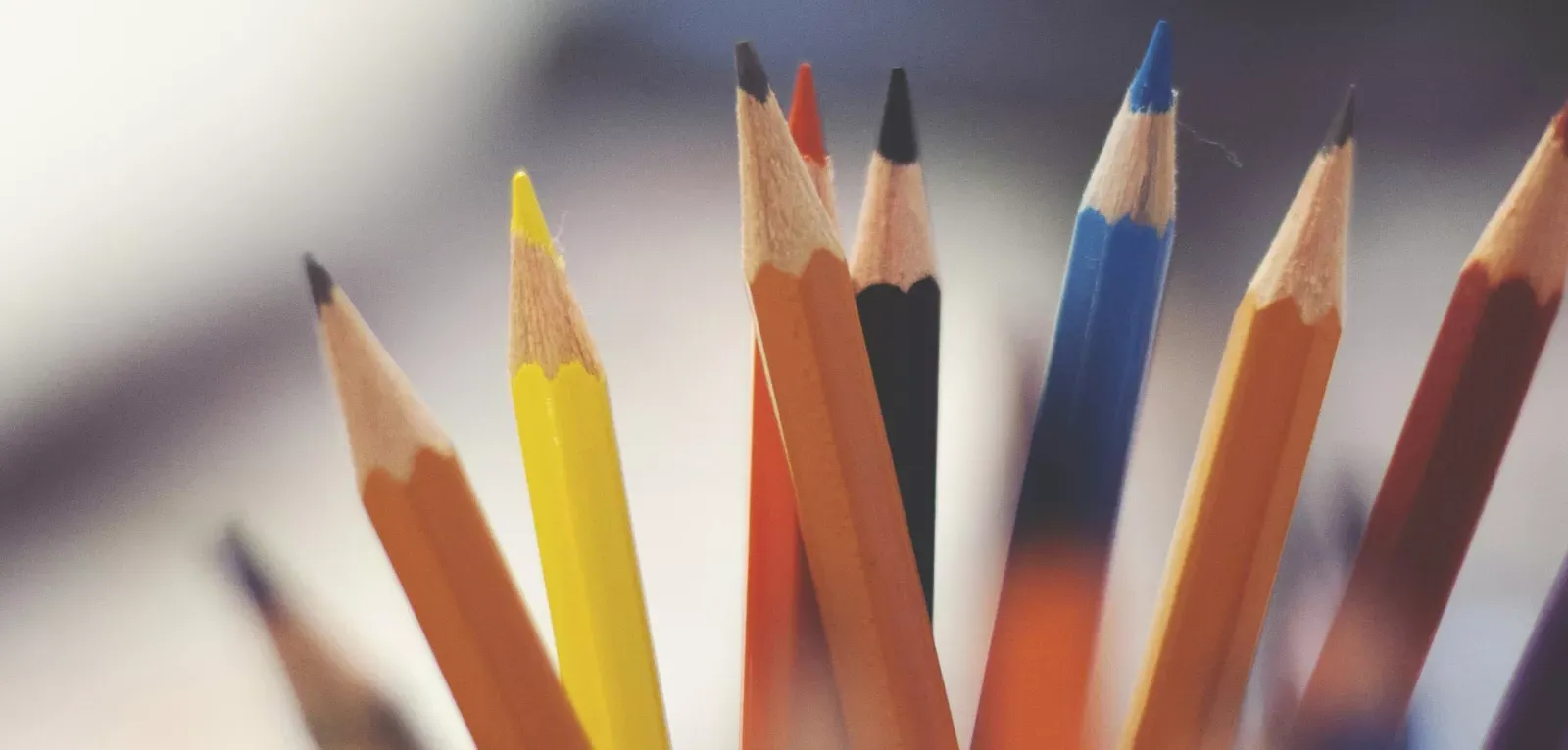 pencils in a cup