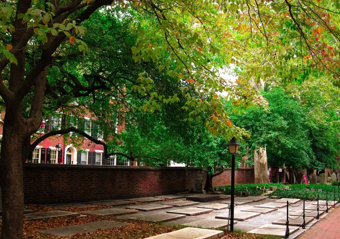 Philadelphia Pine Street Trees